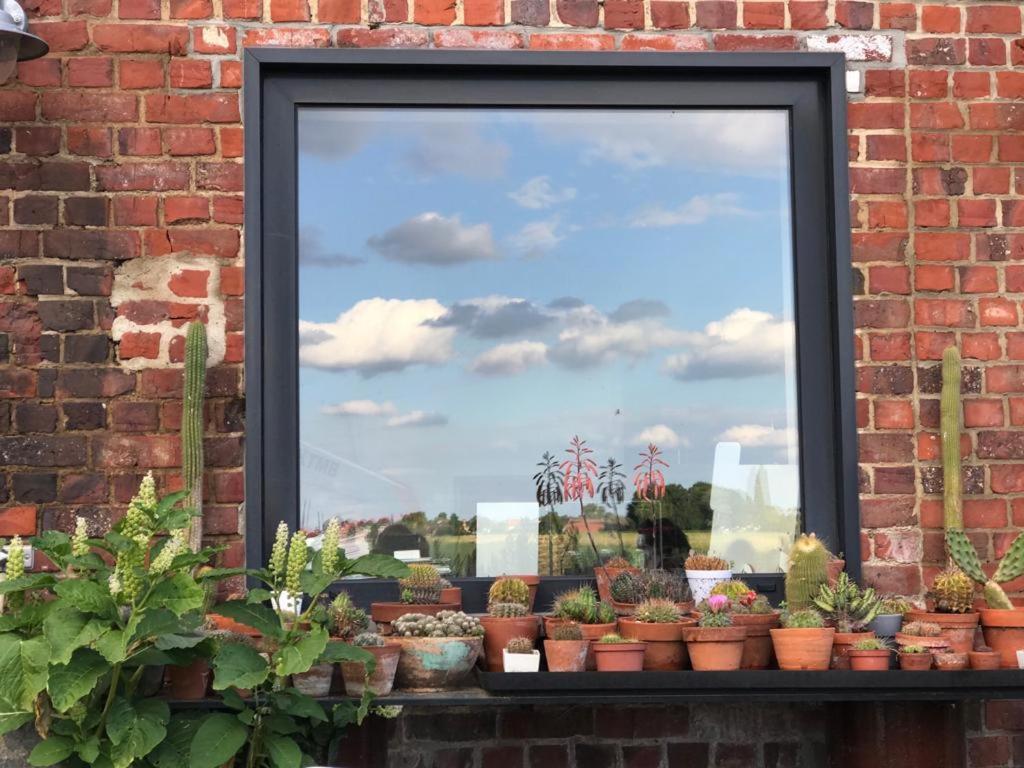 B&B De Vlaschaerd Heule Exteriör bild