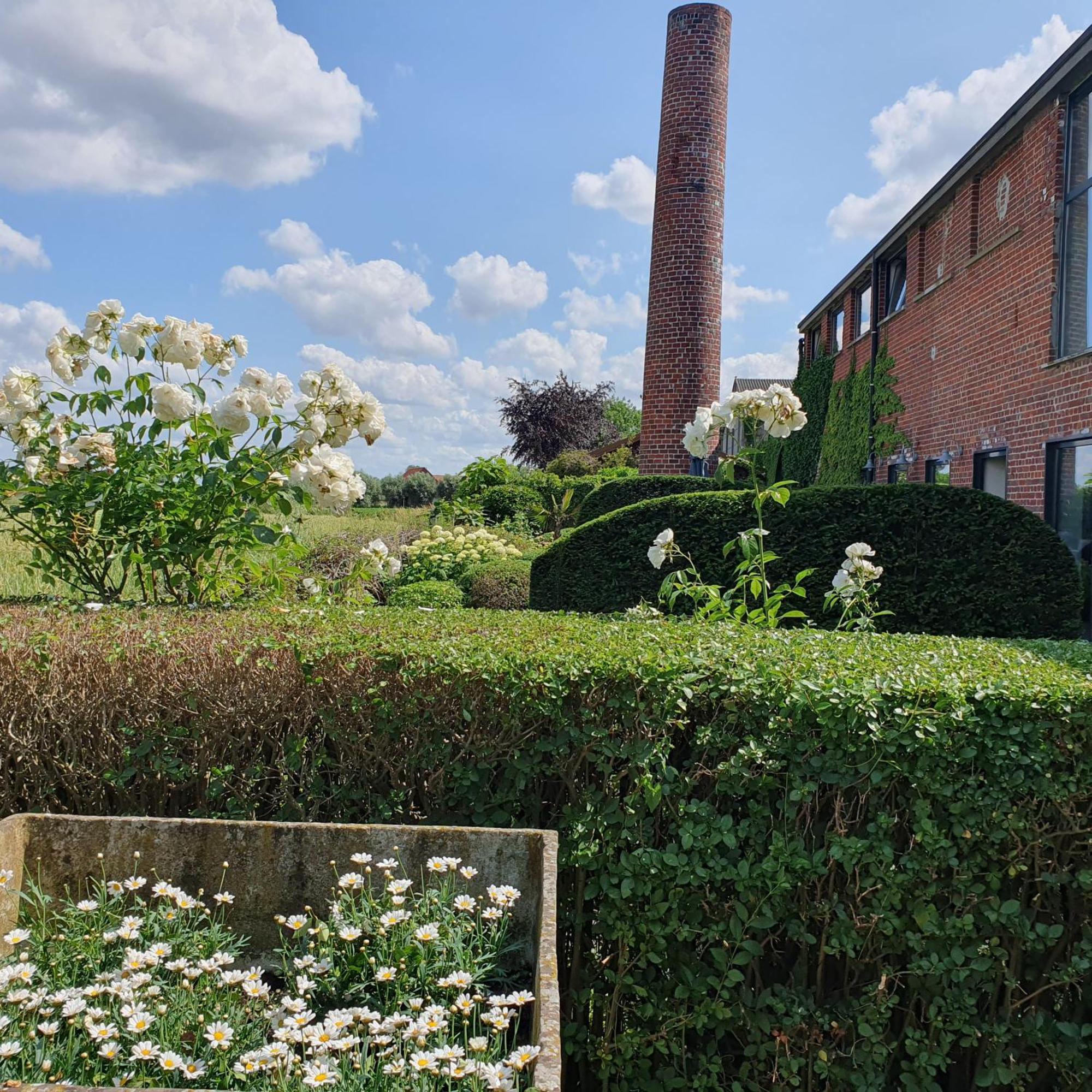 B&B De Vlaschaerd Heule Exteriör bild