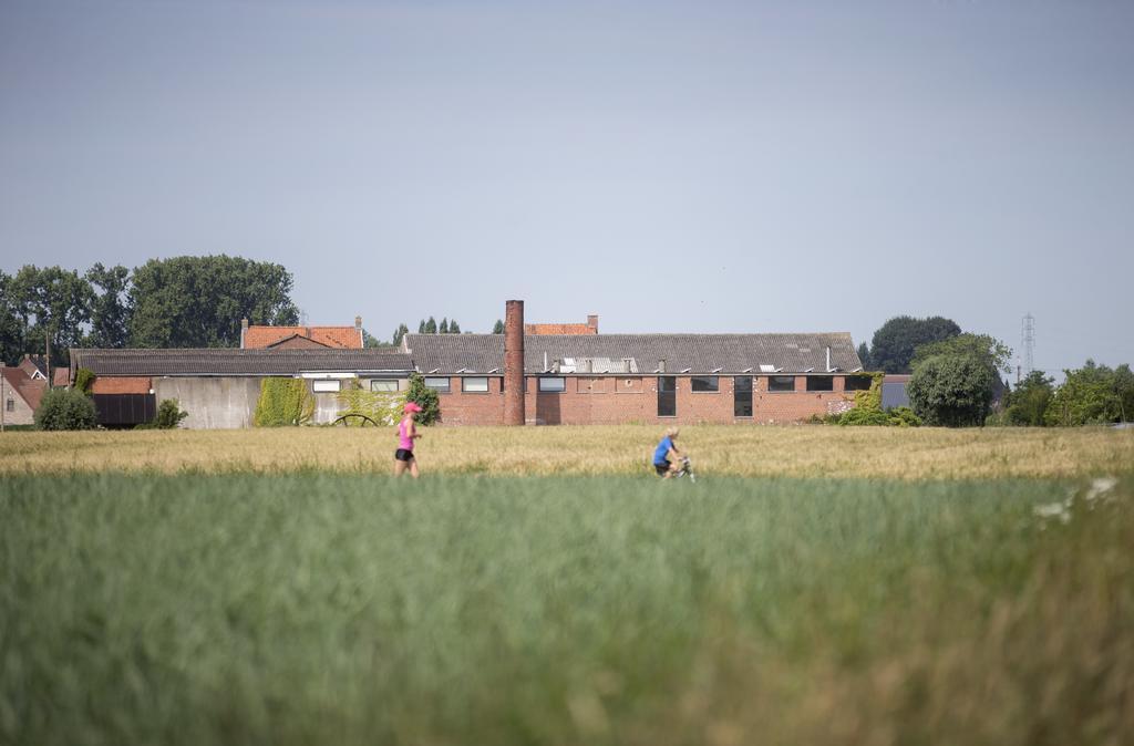 B&B De Vlaschaerd Heule Exteriör bild